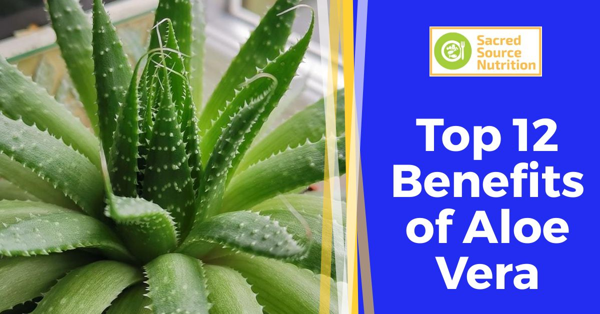 Top 12 Benefits of Aloe Vera
