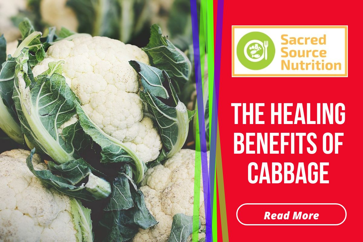 the healing benefits of cabbage